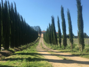 Agriturismo Laura